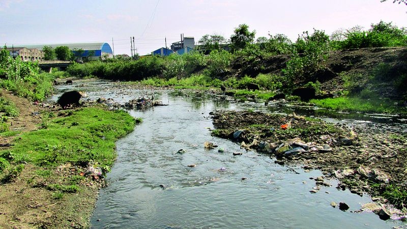 Hingna MIDC crisis in Nagpur due to contaminated water | दूषित पाण्यामुळे नागपुरातील हिंगणा एमआयडीसी संकटात