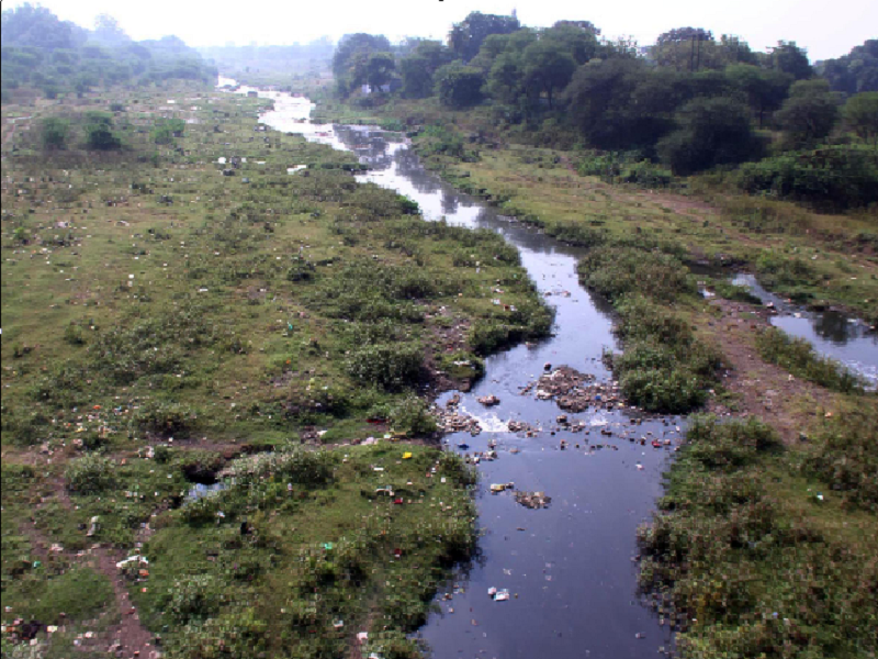 The Kayadhu River with the life of Hingoli, caused by waste and wasting water | हिंगोलीची जीवनवाहिनी असलेली कयाधू नदी कचरा व सांडपाण्यामुळे बनलीय गटारगंगा