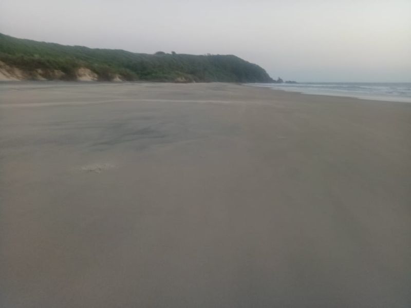 'Blue Flag Certificate' at Bogwe beach; Announced by the Union Ministry of Environment | भोगवे समुद्र किनाऱ्याला ‘ब्लू फ्लॅग प्रमाणपत्र’; केंद्रीय पर्यावरण मंत्रालयाकडून जाहीर