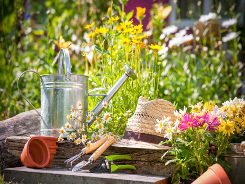 Real Estate: Do you like gardening? Then read this | तुम्हाला बागकामाची आवड आहे का? मग हे वाचाच