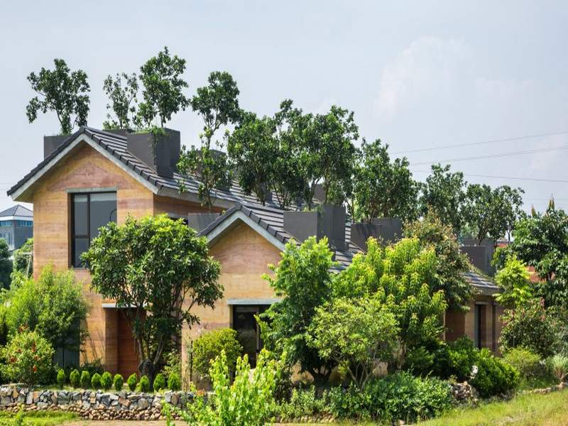 Real estate: decorate your home to make it cool and green | घराला 'हटके ग्रीन लूक' देण्यासाठी 'या' पर्यायांचा विचार करा