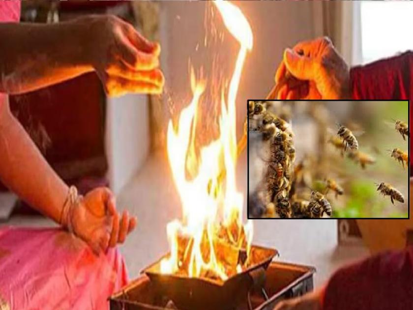 30 people injured in bees attack due to smoke from home oven; Incidents in Kankavali Taluka | होमहवनाच्या धुराने मधमाशांचा हल्ला, ३० जण जखमी; कणकवली तालुक्यातील घटना