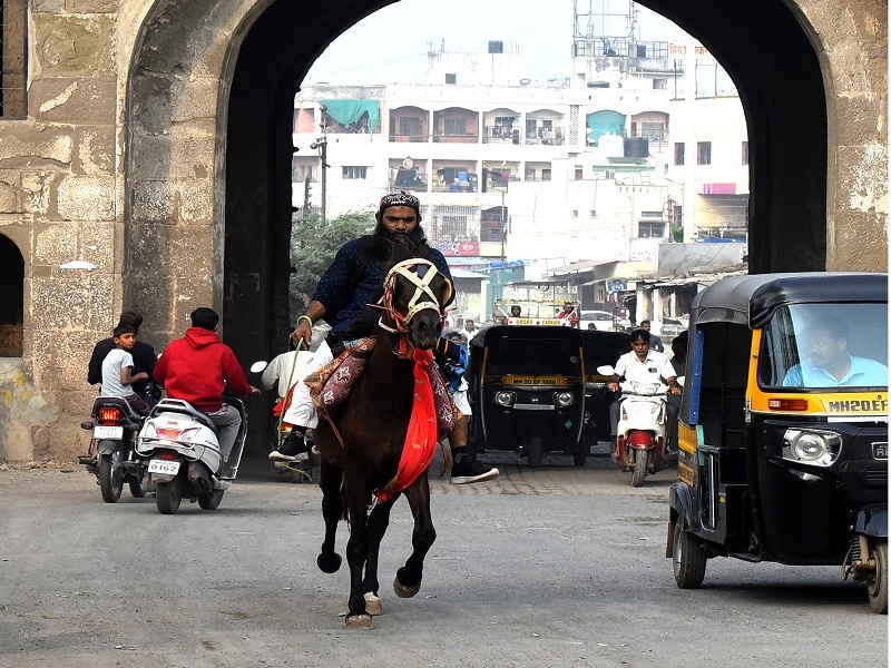 Lab technician from Aurangabad purchased horse due to petrol price hike, he says, leave the worry of fuel while traveling on 'Jigar' | पेट्रोल परवडेना म्हणून घेतला घोडा, ‘जिगर’वर सफर करताना इंधनाची फिकीर सोडा