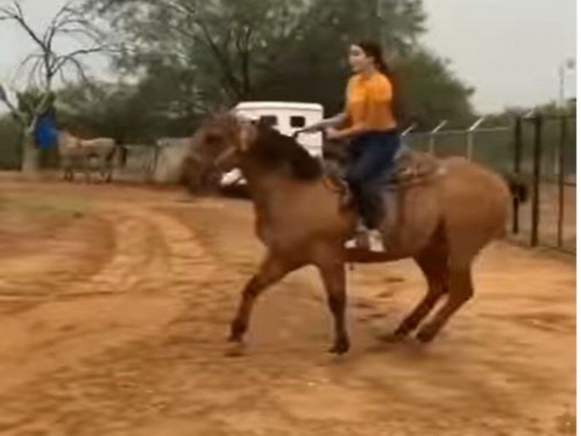 Video : horse kick to girl watch funny viral google trend video | Viral Video: घोड्यावर बसून एन्जॉय करत होती तरूणी, मग जे झालं ते बघून व्हाल हैराण