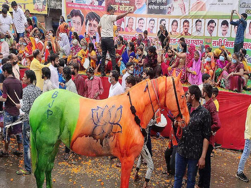Jyotiraditya Scindia's Jan Ashirwad Yatra: BJP's painted horse, animal cruelty case filed | ज्योतिरादित्य सिंधिया यांच्या जन आशिर्वाद यात्रेत भाजपच्या रंगात रंगवलेला घोडा, प्राणी क्रूरतेचा गुन्हा दाखल