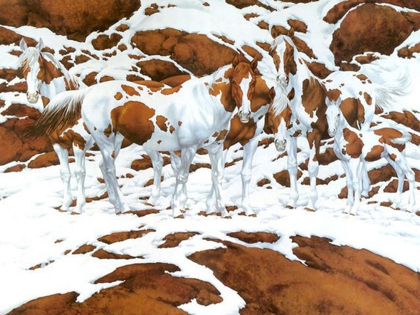 How many horses can you find in this tricky optical illusion? | 'या' फोटोत किती घोडे आहेत? काही तर मोजून थकले, बघा तुम्ही तरी बरोबर सांगू शकता का...