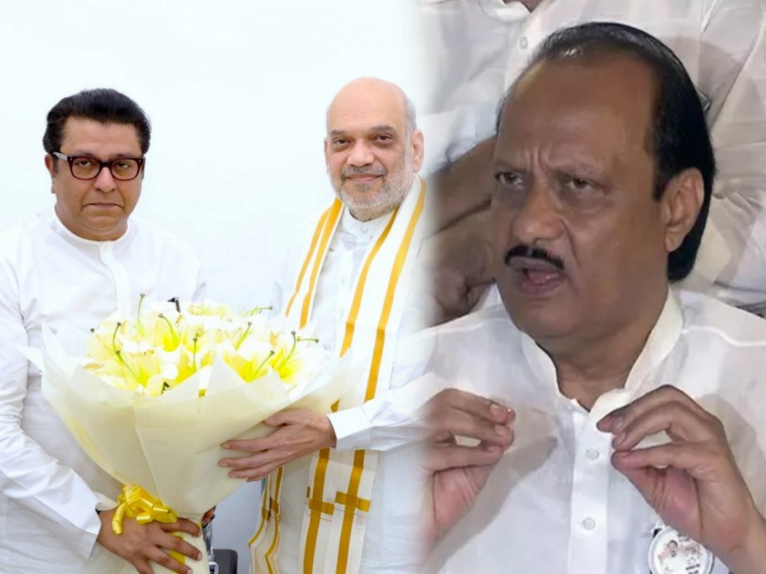 Loksabha Election 2024: It will be beneficial if Raj Thackeray comes with the Mahayuti - Ajit Pawar | राज ठाकरे महायुतीत आल्यास...; उपमुख्यमंत्री अजित पवारांनी केलं 'मनसे' स्वागत