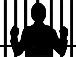 The lawyer who helped the human trafficking in Nagpur was arrested | नागपुरात मानवी तस्करीस मदत करणाऱ्या वकिलाला अटक