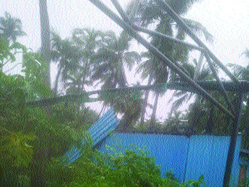 Rain showers in Palghar | पालघरमध्ये पावसाचे थैमान