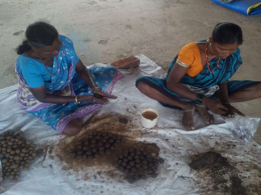 Tribal efforts of tourists and tourists in Mahad taluka in Mahad taluka | पर्यटन व पर्यावरणासाठी महाड तालुक्यात भिवघरच्या आदिवासींचे प्रयत्न