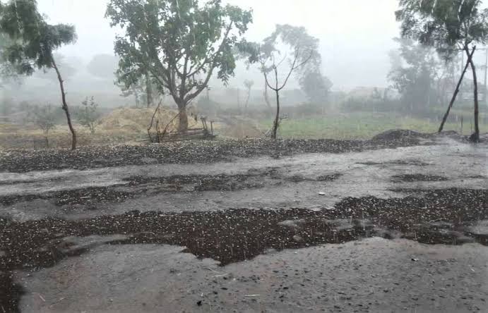 Presence of unseasonal rains in Gondia | गोंदियात अवकाळी पावसाची हजेरी, वातावरण बदललं
