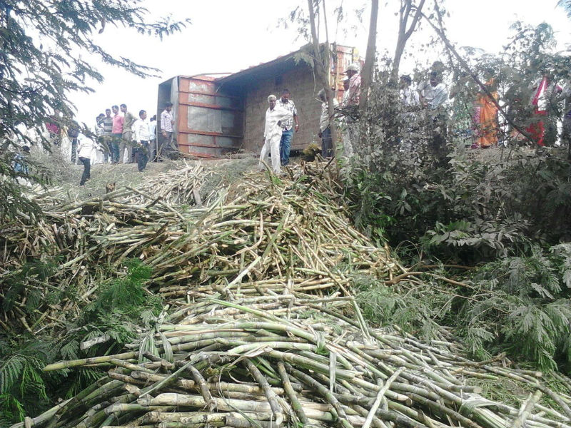 Unlawful death of husband and wife due to sugarcane bills, incidents near Karamala | ऊसाची मोळी अंगावर पडून पती-पत्नीचा दुदैवी मृत्यू, करमाळाजवळील घटना