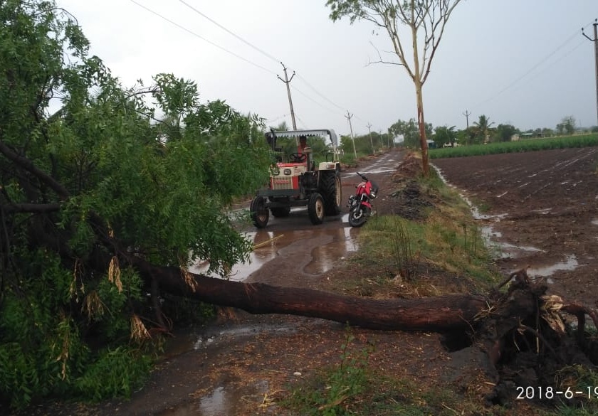  Windy rain loss in Vaijapur, Gangapur | वैजापूर, गंगापूरमध्ये वादळी पावसाने नुकसान