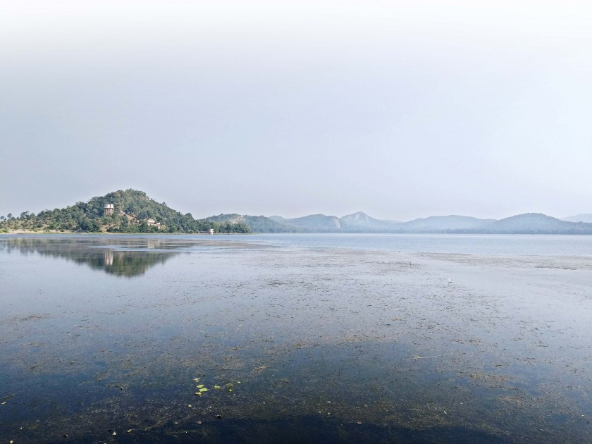 When the lake is alive! - A 'youth' experiment in Gondia district | तलाव जिवंत होतो तेव्हा! - गोंदिया जिल्ह्यातला एक ‘तरुण’ प्रयोग