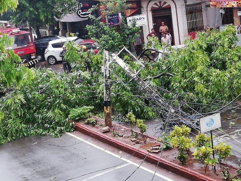 Vescot Ashoka tree collapses one person died | Video : वास्कोत अशोका वृक्ष कोसळून दुचाकीस्वाराचा दुर्देंवी अंत