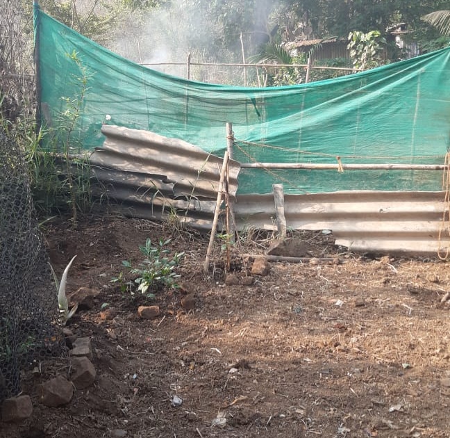 Unauthorized huts cut down in Aarey | आरेमध्ये झाडे तोडून उभारल्या अनधिकृत झोपड्या