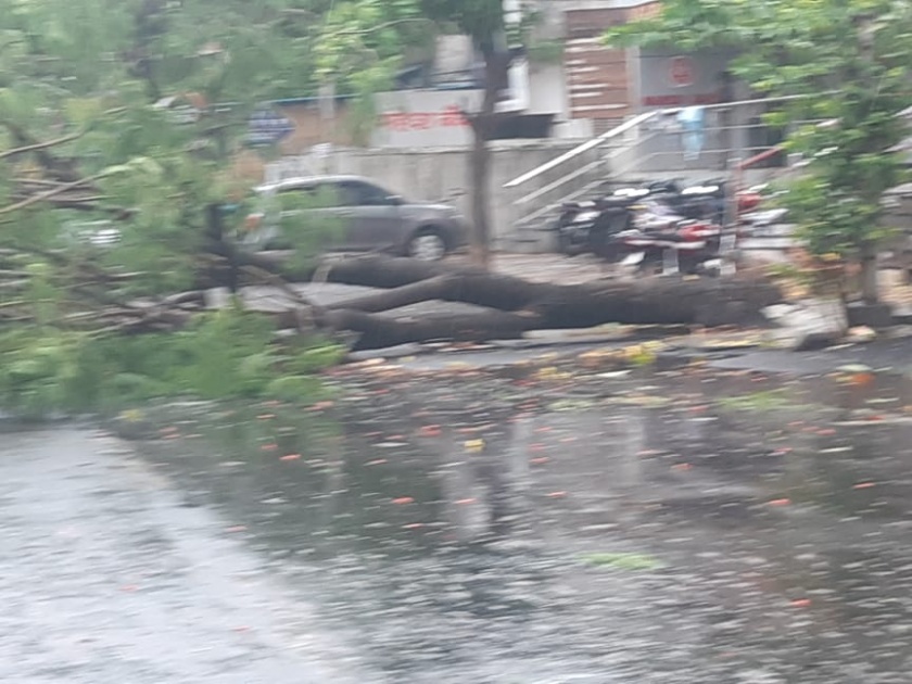 Heavy rains in Pune due to nisarga cyclone | निसर्ग चक्रीवादळामुळे पुण्यात पावसाची जोरदार बॅटिंग; वाऱ्याचा वेग ताशी 65 -70 किलोमीटर