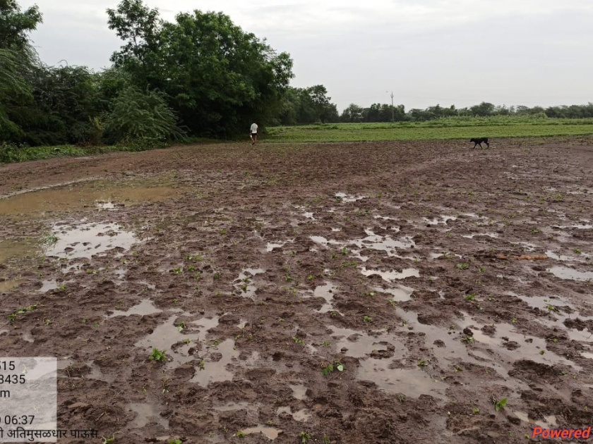 Heavy rains for the second day in a row in Chikalthana Mandal in Parbhani district | परभणी जिल्ह्यातील चिकलठाणा मंडळात सलग दुसऱ्या दिवशी अतिवृष्टी