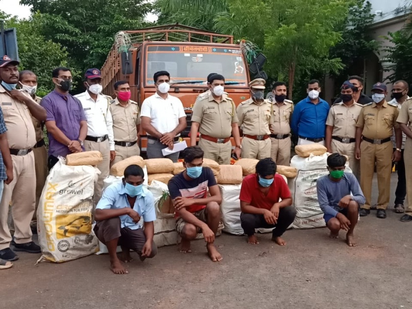 Baramati police seized Rs 56 lakhs materials with worth 312 kg of ganza | बारामती पोलिसांनी मोठी कारवाई, मध्यरात्री भरपावसात ३१२ किलो गांजासह ५६ लाखांचा मुद्देमाल जप्त 