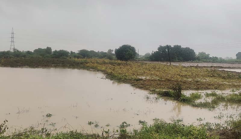 Abb..Barshi taluka received 140 mm rain in 12 hours | अबब..बार्शी तालुक्यात १२ तासात पडला तब्बल १४० मिमी पाऊस