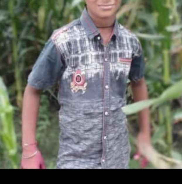 Shocking; The boy was killed in an animal attack; Incident at Waluj in Mohol taluka | धक्कादायक; हिस्त्र प्राण्याच्या हल्ल्यात मुलगा ठार; मोहोळ तालुक्यातील वाळुज येथील घटना
