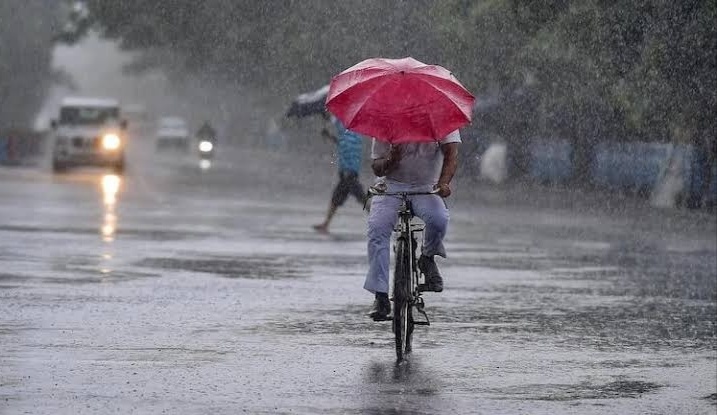 Weather Alert : Chance of rain in Pune, Central Maharashtra, Marathwada and Vidarbha for next three days | Weather Alert : पुढील तीन दिवस पुण्यासह मध्य महाराष्ट्र, मराठवाडा, विदर्भात पावसाची शक्यता