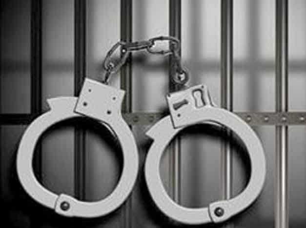 Big Action : Three arrested for smuggling sandalwood; 32 lakh worth of goods seized | मोठी कारवाई! रक्त चंदनाची तस्करी करणार्‍या तिघांना अटक; ३२ लाखांचा माल हस्तगत