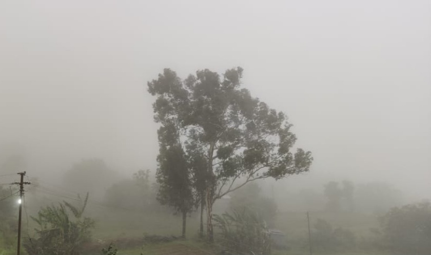 Weather Alert: Heavy rains in Konkan, Central Maharashtra, Vidarbha | Weather Alert : कोकण, मध्य महाराष्ट्र, विदर्भात तुरळक ठिकाणी जोरदार पाऊस 