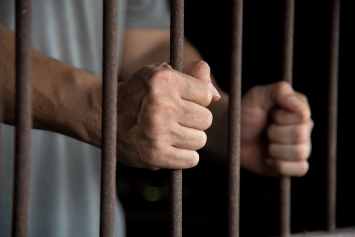 Nagpur businessman sentenced rigourus imprisionment in US | नागपुरातील व्यापाऱ्याला अमेरिकेत कारावासाची शिक्षा