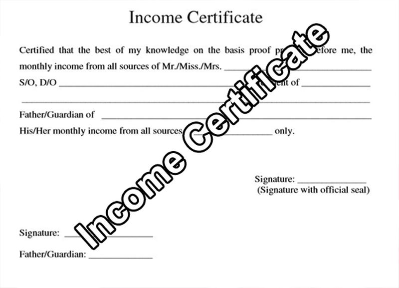 Digital Proof of Income Certificate Successful! | उत्पन्नाच्या डिजिटल दाखल्याचा प्रयोग यशस्वी!
