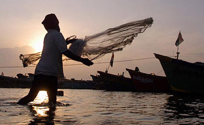 Billions of rupees hit nature fish ponds | मत्स्य तलावांना निसर्गचा बसला कोट्यवधींचा फटका