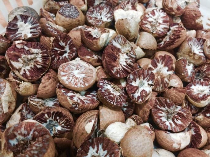 Raid on BhagwanTraders in Vardhamanagar, Nagpur: 225 bags worth of betel nut seized | नागपूरच्या वर्धमाननगरातील भगवान ट्रेडर्सवर छापा : २२५ पोती सडकी सुपारी जप्त