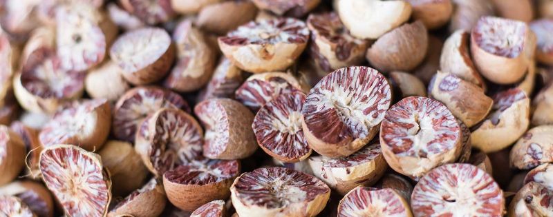CBI to probe inferior betel nut imports: HC | सडकी सुपारी आयातीचा तपास सीबीआयच करेल : हायकोर्टाचा निर्णय 