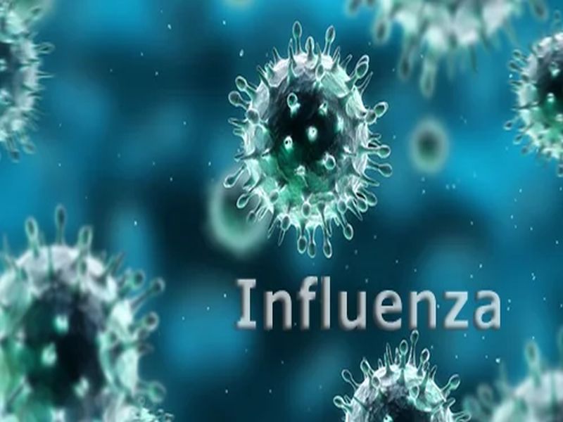  Influenza is dangerous for small children | इन्फ्लुएंझा लहान मुलांसाठी ठरतोय धोकादायक