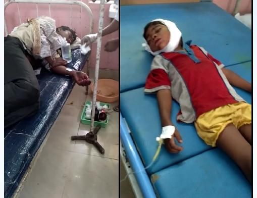 Father and son injured intiger attack in Nagpur district | नागपूर जिल्ह्यात वाघाच्या हल्ल्यात पिता-पुत्र जखमी