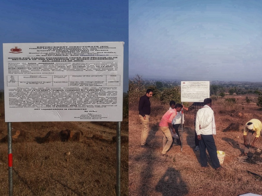 ED's strong action on Gangakhed Sugar Ltd ! Sealed 39 hectares of land in Kalamanuri taluka | गंगाखेड शुगरला ईडीचा दणका ! कळमनुरी तालुक्यातील ३९ हेक्टर जमीन केली सील