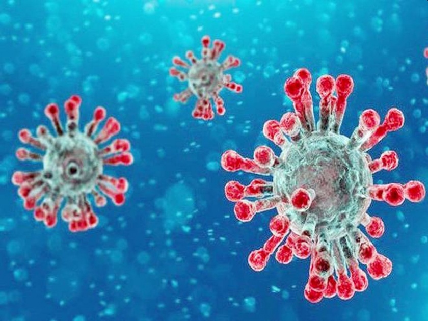 CoronaVirus Will immunity power save Indians? | CoronaVirus भारतीयांना रोगप्रतिकारशक्ती वाचवेल का?