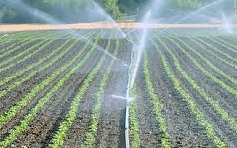 The utility of micro-irrigation fund has to be shown! | सुक्ष्म सिंचनच्या निधीची दाखवावी लागणार उपयोगिता !