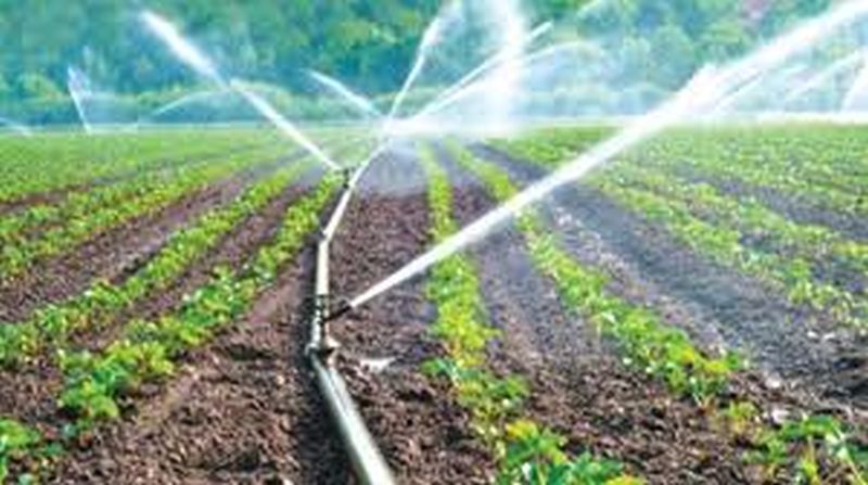 Benefit of Irrigation Grant Scheme within seven years | सिंचन अनुदान योजनेचा सात वर्षातच मिळणार लाभ