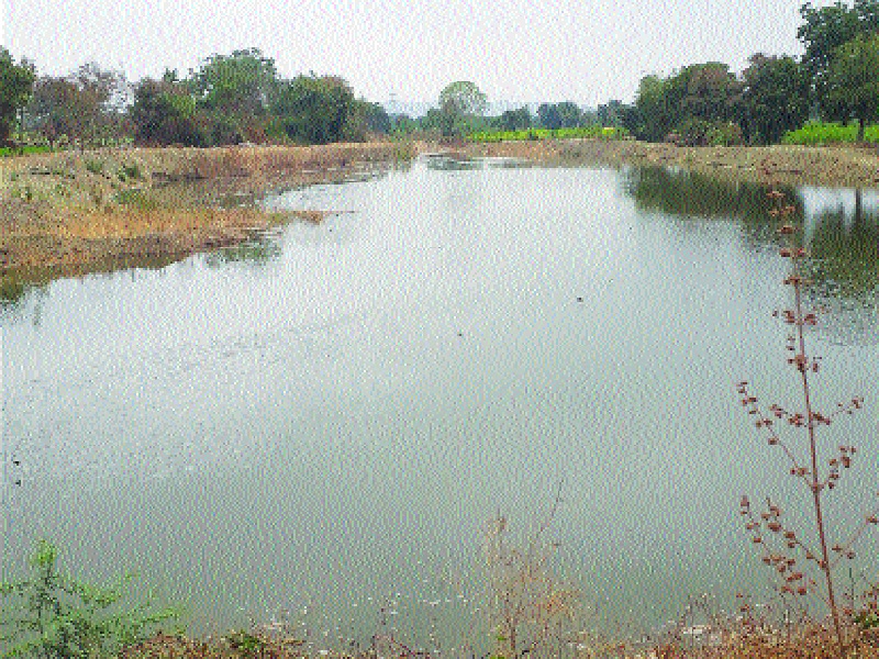 Encourage the water from the Ispar dam dam to the river Pardi | पार्डी नदीला इसापूर धरणाचे पाणी आल्याने उत्साह