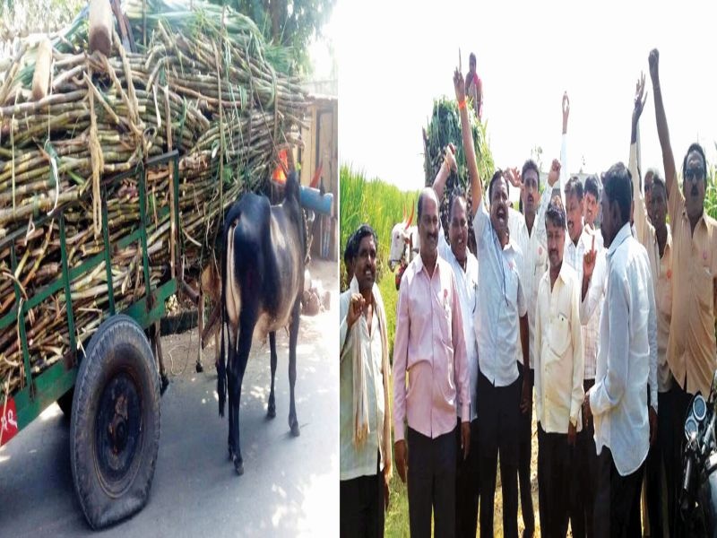 Farmers Strike in Sangli | सांगलीत ऊसदर आंदोलनाचा भडका, 60 बैलगाड्यांच्या टायरमधील सोडली हवा 