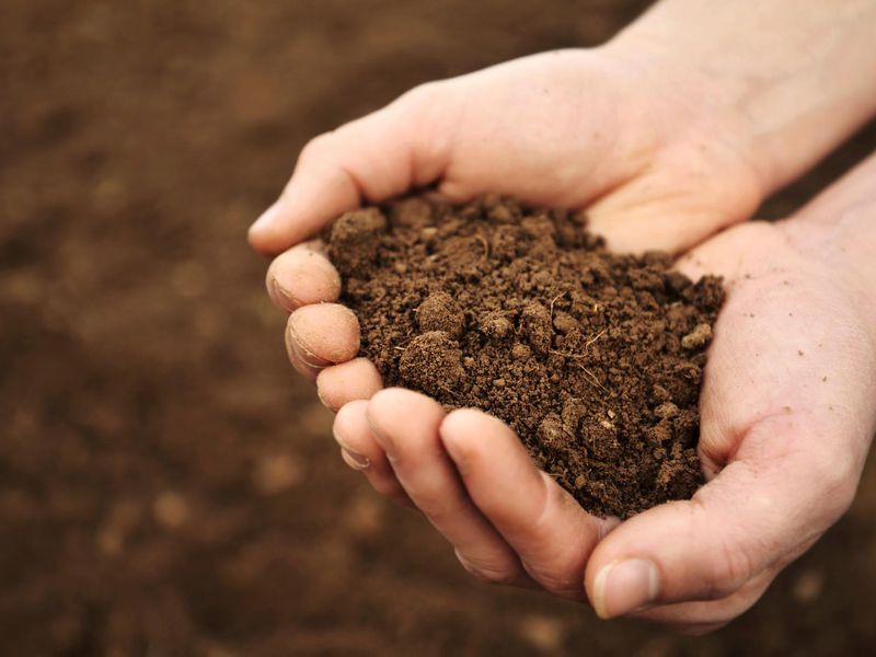Fertility of the soil is decreasing! | जमिनीची सुपीकता घटतेय!