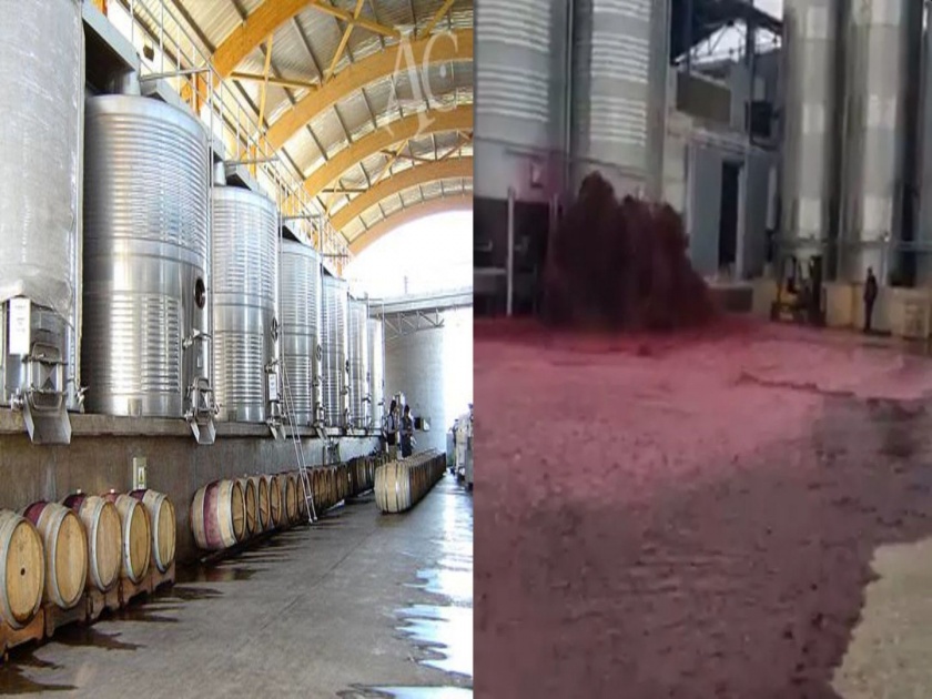 50000 litres of red wine explodes from winery tank people cant stop crying | बापरे! टँकर फुटताच पाण्यासारखी वाहून गेली ५० हजार लिटर रेड वाईन; पाहा व्हिडीओ