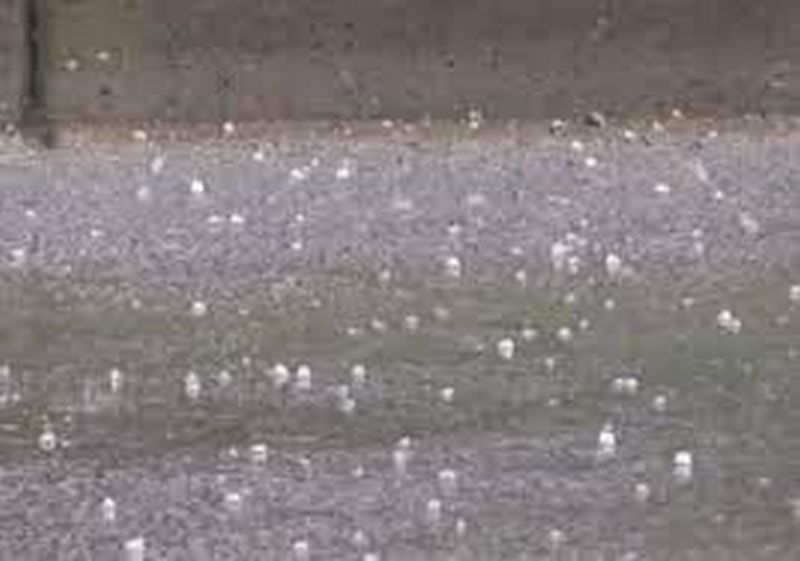 Chance of hail, with hail in Vidarbha | विदर्भात गारपिटीसह, वादळी पावसाची शक्यता