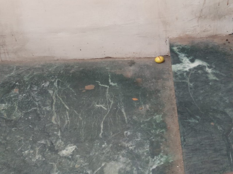 Family court found case of jadu tona | फॅमिली कोर्टात आढळले कुंकू टाकून अर्धवट कापलेले लिंबू : जादूटोण्याच्या प्रकाराने आश्चर्य