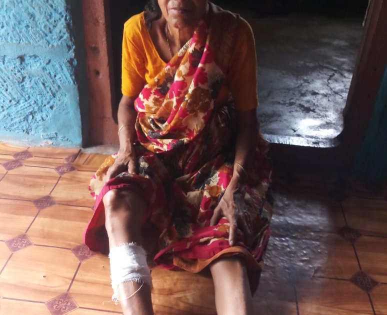 Bite the villagers in Rajapur with a fox | राजापुरात पिसाळलेल्या कोल्ह्याने घेतला ग्रामस्थांना चावा