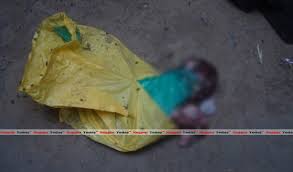 The head of a child found in Kamswadi in Jalgaon city | जळगाव शहरातील कासमवाडीत आढळले बालकाचे धडावेगळे शीर