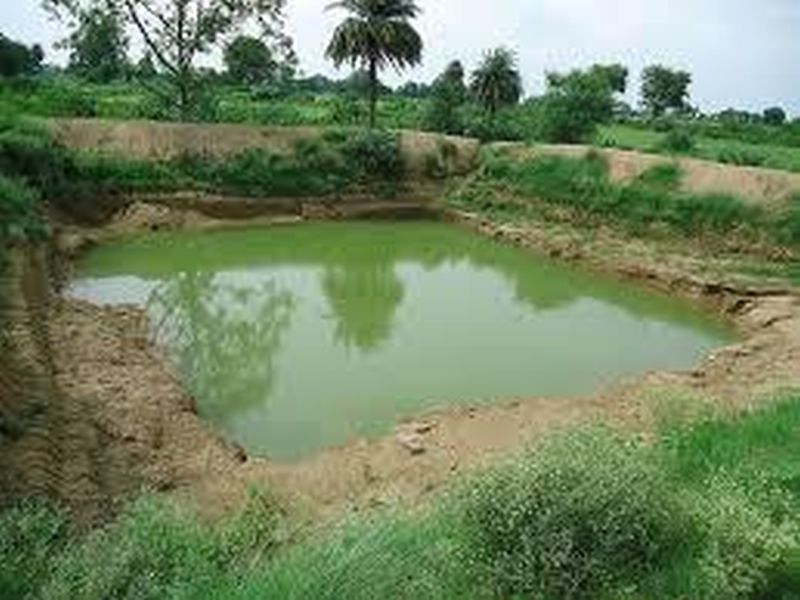 Treatment of 'Watery Shower'; Recommendation of Empowering Gram Sabha | ‘जलयुक्त शिवार’ची चिकित्सा; ग्रामसभेला अधिकार देण्याची शिफारस