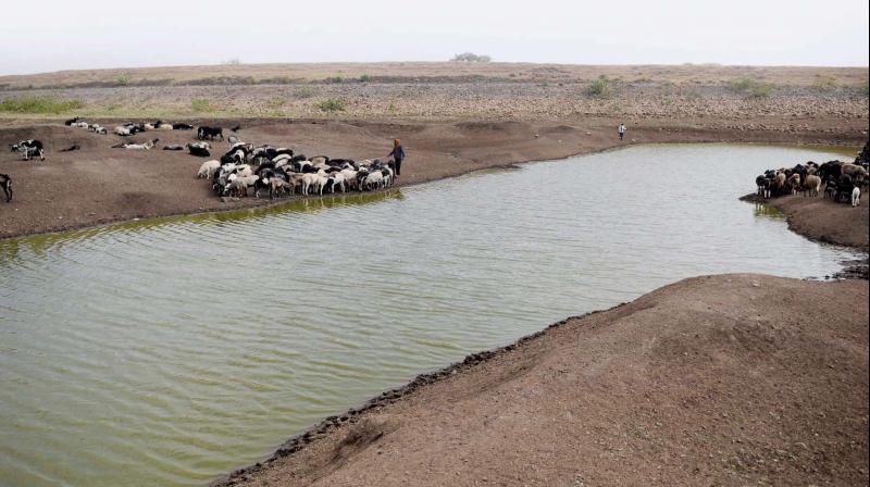 Water conservation work in Beed district will be available through 'Jal Shakti' speed | 'जलयुक्त' नंतर ‘जलशक्ती’मुळे मिळणार बीड जिल्ह्यातील जलसंधारणाच्या कामांना गती