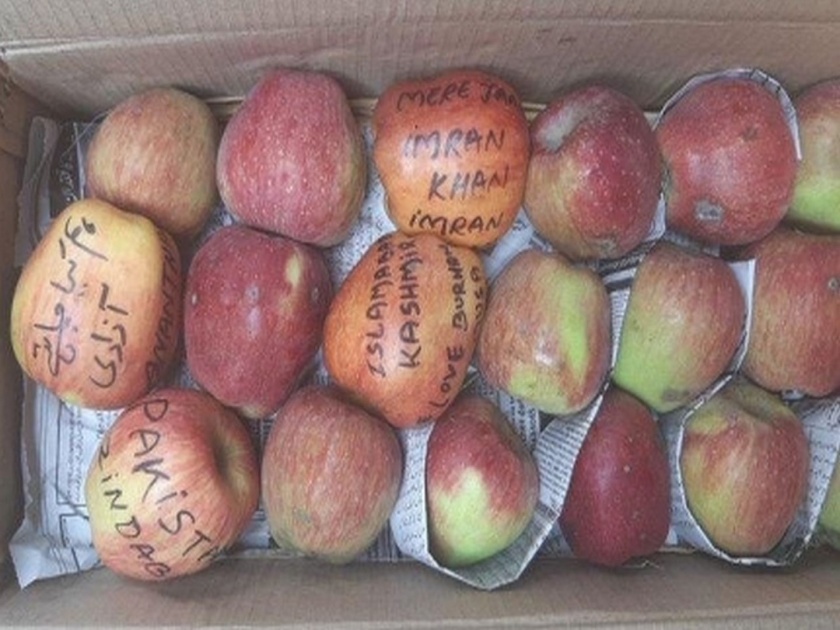 Azadi Burhan Wani Written On Apples From Kashmir Sellers Threaten Boycott Police Starts Probe | काश्मीरमधून आलेल्या सफरचंदांवरील 'त्या' मजकुरानं एकच खळबळ